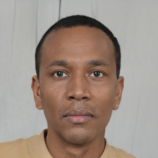 Neutral black young-adult male with short  black hair and brown eyes