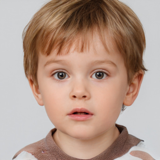 Neutral white child male with short  brown hair and brown eyes