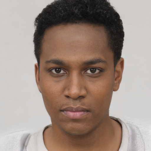 Neutral black young-adult male with short  black hair and brown eyes
