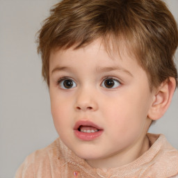 Neutral white child male with short  brown hair and brown eyes