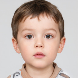 Neutral white child male with short  brown hair and brown eyes