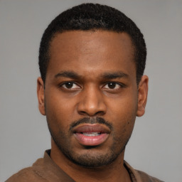 Joyful black young-adult male with short  black hair and brown eyes