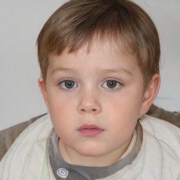 Neutral white child male with short  brown hair and brown eyes