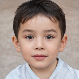 Joyful white child male with short  brown hair and brown eyes