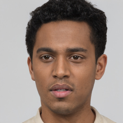 Neutral black young-adult male with short  black hair and brown eyes
