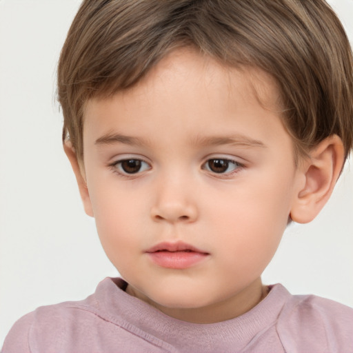 Neutral white child male with short  brown hair and brown eyes