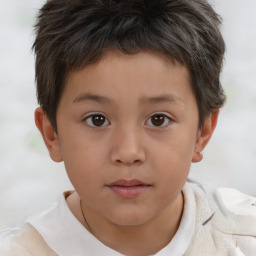 Neutral white child male with short  brown hair and brown eyes