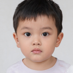 Neutral asian child male with short  brown hair and brown eyes