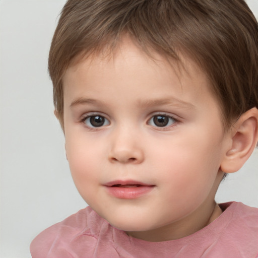 Neutral white child male with short  brown hair and brown eyes