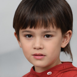 Neutral white child male with short  brown hair and brown eyes