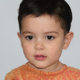 Neutral white child male with short  brown hair and brown eyes