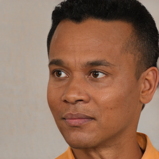 Joyful black adult male with short  black hair and brown eyes