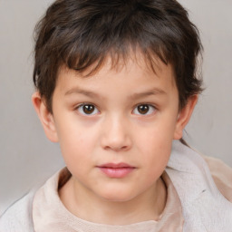 Neutral white child male with short  brown hair and brown eyes