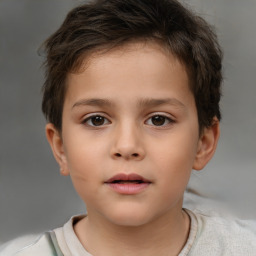 Neutral white child male with short  brown hair and brown eyes