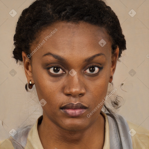 Neutral black young-adult female with short  brown hair and brown eyes