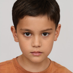 Neutral white child male with short  brown hair and brown eyes