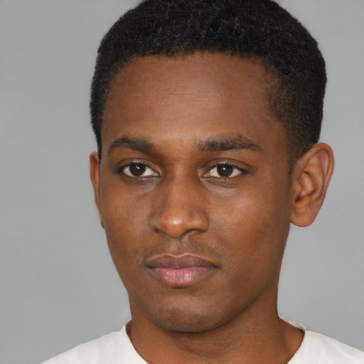 Neutral black young-adult male with short  black hair and brown eyes