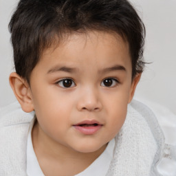 Neutral white child male with short  brown hair and brown eyes