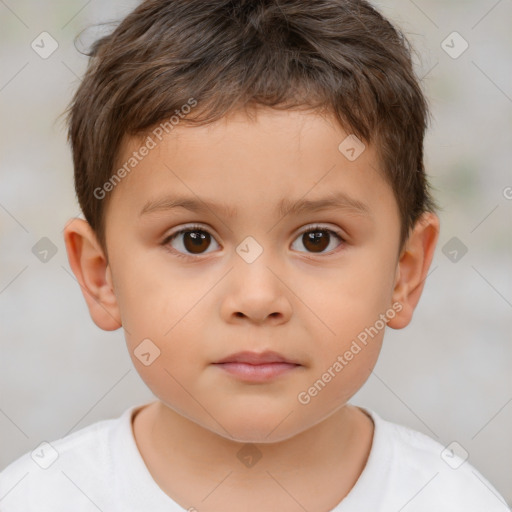 Neutral white child male with short  brown hair and brown eyes