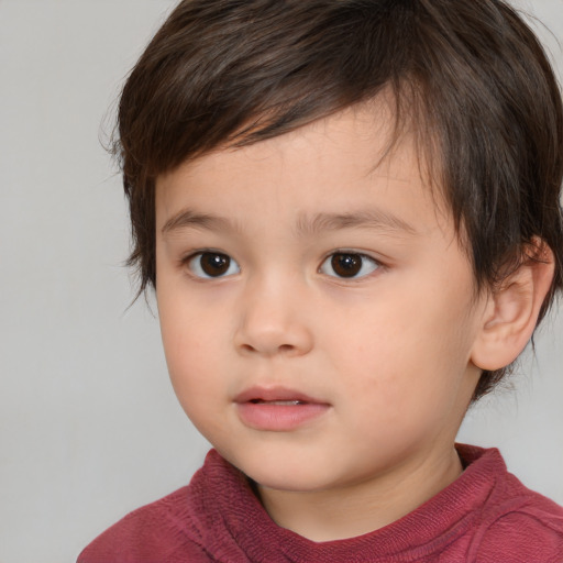 Neutral white child male with medium  brown hair and brown eyes