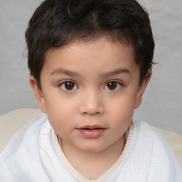 Neutral white child male with short  brown hair and brown eyes