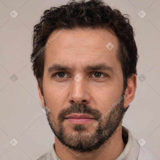 Neutral white adult male with short  brown hair and brown eyes