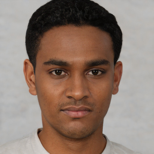 Neutral black young-adult male with short  black hair and brown eyes