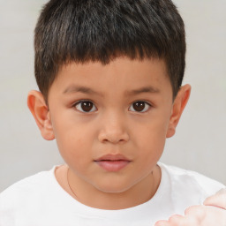 Neutral white child male with short  brown hair and brown eyes