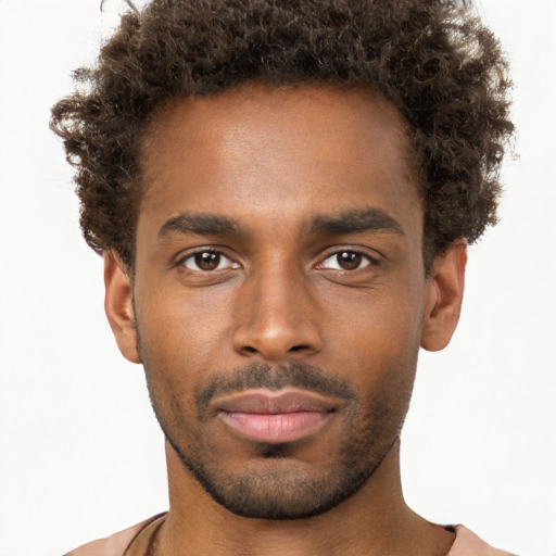 Neutral black young-adult male with short  brown hair and brown eyes