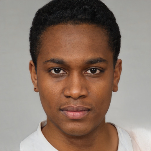 Neutral black young-adult male with short  black hair and brown eyes
