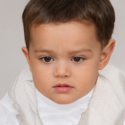 Neutral white child male with short  brown hair and brown eyes