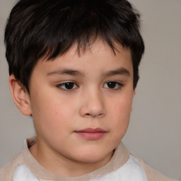 Neutral white child male with short  brown hair and brown eyes