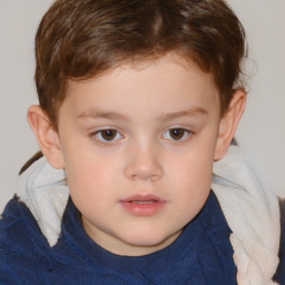 Neutral white child male with short  brown hair and brown eyes