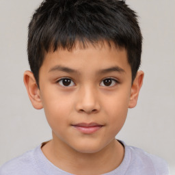 Neutral white child male with short  brown hair and brown eyes