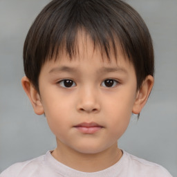 Neutral white child male with short  brown hair and brown eyes