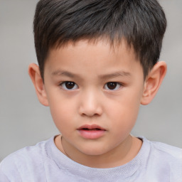 Neutral white child male with short  brown hair and brown eyes