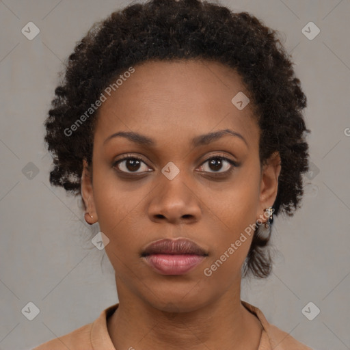 Neutral black young-adult female with medium  brown hair and brown eyes