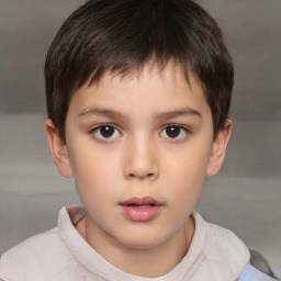 Neutral white child male with short  brown hair and brown eyes
