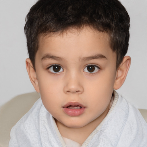 Neutral white child male with short  brown hair and brown eyes