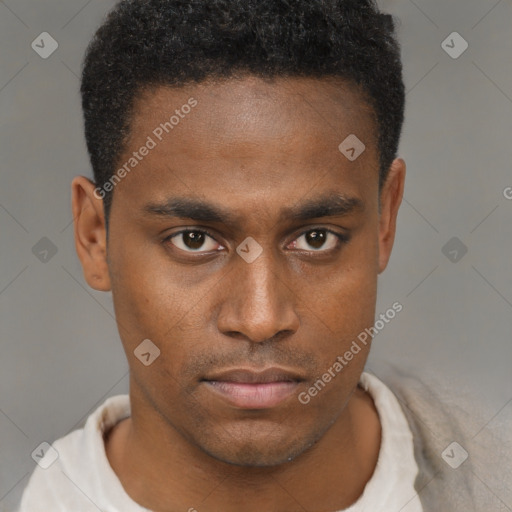 Neutral black young-adult male with short  brown hair and brown eyes