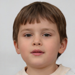 Neutral white child male with short  brown hair and brown eyes