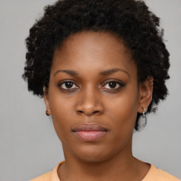 Neutral black young-adult female with short  black hair and brown eyes