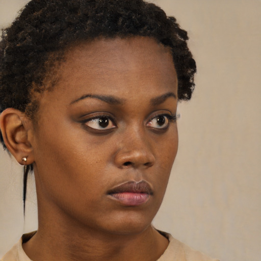 Neutral black young-adult female with short  brown hair and brown eyes