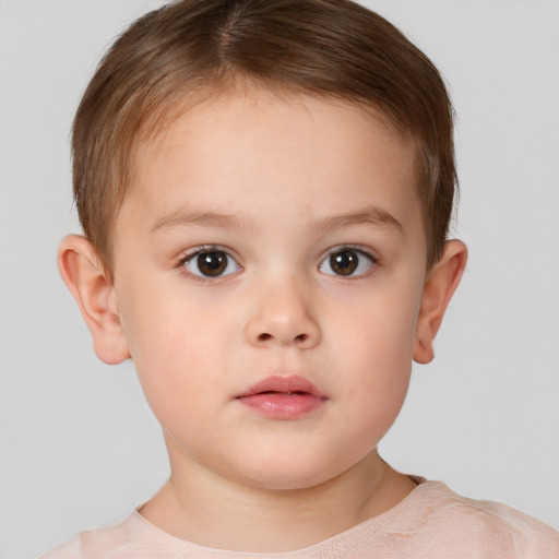 Neutral white child male with short  brown hair and brown eyes