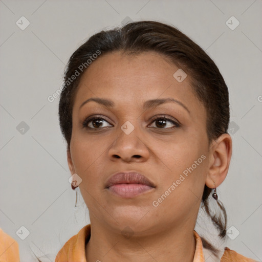 Joyful black adult female with medium  brown hair and brown eyes