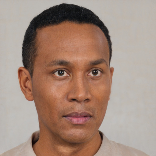 Neutral black young-adult male with short  black hair and brown eyes