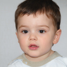 Neutral white child male with short  brown hair and brown eyes