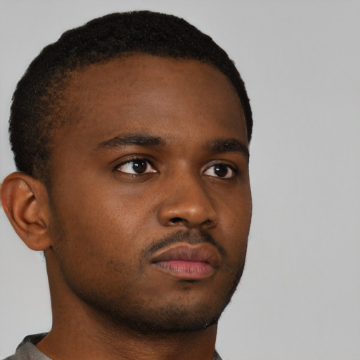 Neutral black young-adult male with short  brown hair and brown eyes
