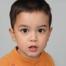 Neutral white child male with short  brown hair and brown eyes