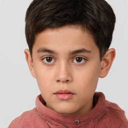 Neutral white child male with short  brown hair and brown eyes